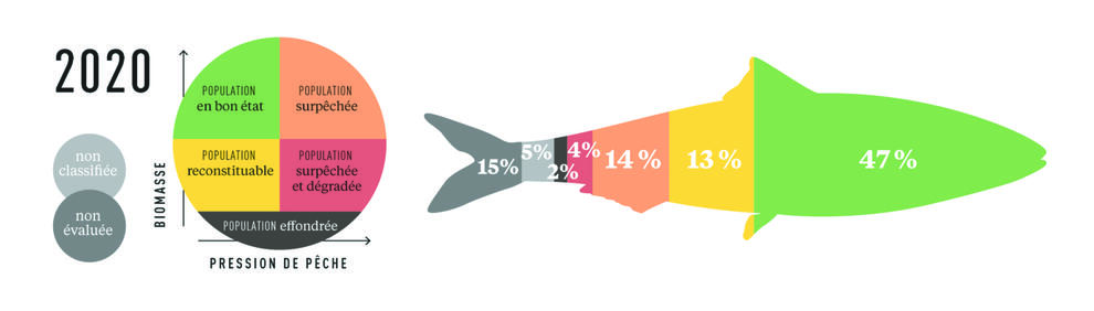 État des populations de poissons exploitées en France métropolitaine en 2020 (part des débarquements en volume)