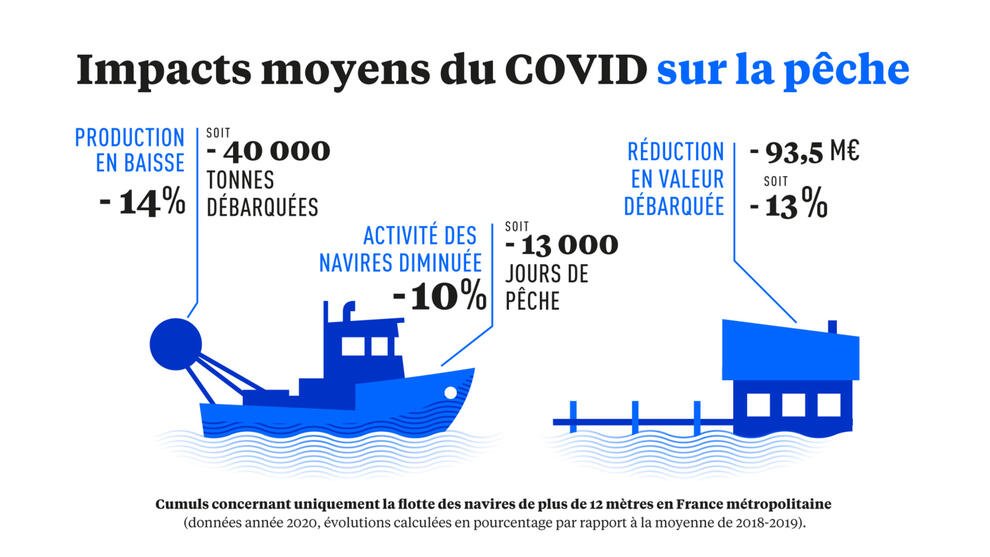 La pêche dans les filets du Covid-19 : moyennes sur l'année concernant uniquement les navires de plus de 12 mètres