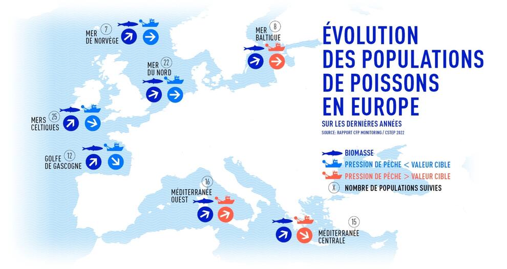 Évolution des populations de poissons en Europe entre 2003 et 2022