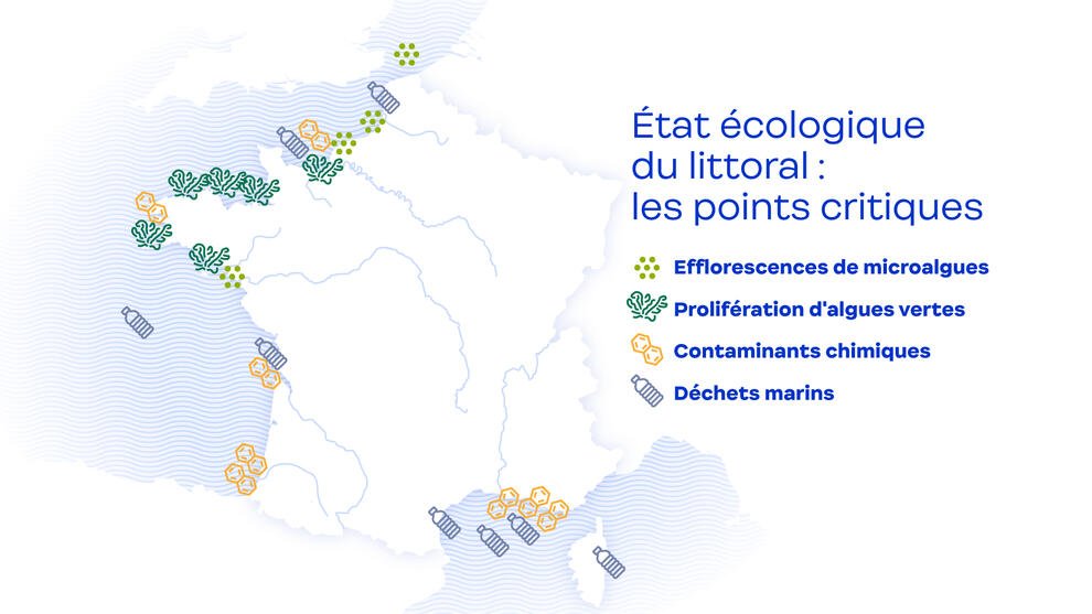 Carte "Etat écologique du littoral : les points critiques"