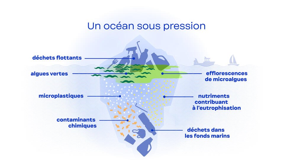 Infographie « Un océan sous pressions »